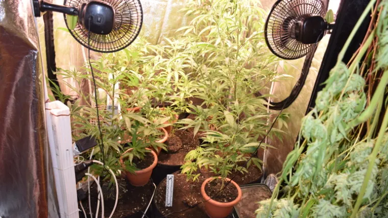 U stanu mu prona&scaron;li tri improvizirana laboratorija, vi&scaron;e od kg trave i ne&scaron;to ha&scaron;i&scaron;a