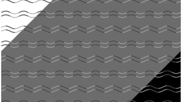 Vjerujete svojim očima i vi&scaron;e nego &scaron;to bi trebali, a ova optička iluzija može to i dokazati!