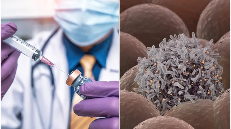 Znanstvenici na tragu lijeka za karcinome? Evo u čemu bi moglo ležati rje&scaron;enje za bolest koja godi&scaron;nje uzme 10 milijuna života