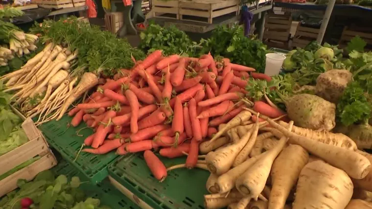 Cijene hrane na globalnom trži&scaron;tu imaju najveći rast u sedam godina. Provjerili smo kako će se to odraziti na Hrvatsku