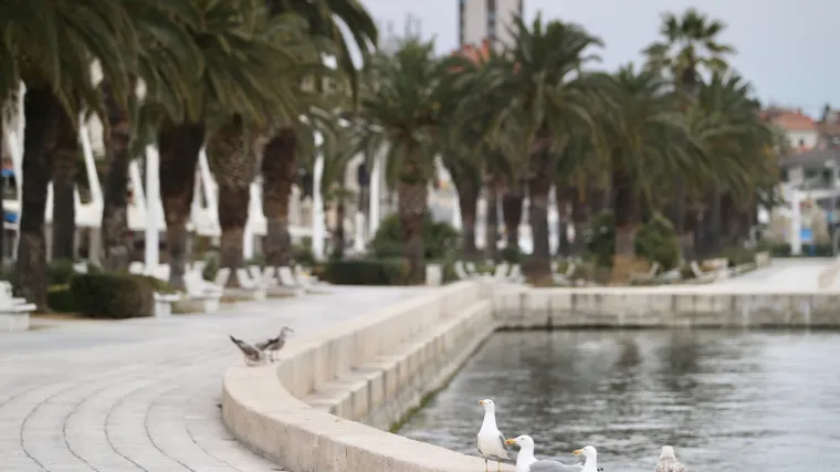 Poduzetnici, političari, pa i pjevači: Tko sve želi biti '&scaron;ef' Splita i &scaron;to o tome misle građani?