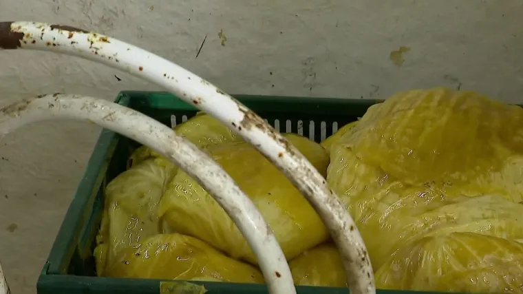 Čuvarica sjemena čuvane sorte varaždinskog zelja Marija Cafuk, u&scaron;la je u uži izbor za najinovativniju poljoprivrednicu Europe