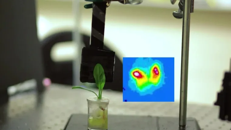 &Scaron;pinat poslao mail. Ozbiljno, nije zezancija! Stručnjak za Direkt objasnio kako je to moguće