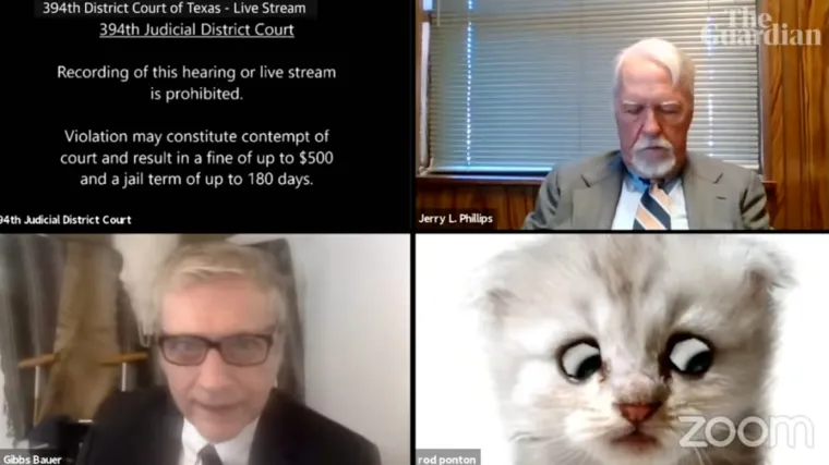 Svjetski slavni odvjetnik: 'Nisam znao da me Zoom može pretvoriti u mačku. Nisam znao da me mačka može pretvoriti u slavnu osobu'