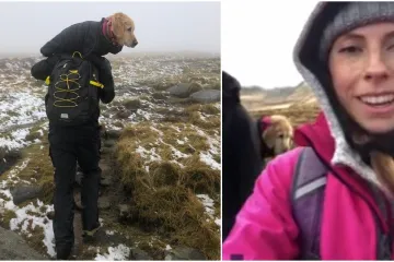 Siroče je lutalo puna dva tjedna. Nosili su ga na leđima 10 km...