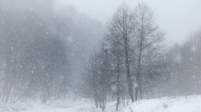 Jedno je u kritičnom stanju i na respiratoru: Majka ostavila troje djece bez odjeće na minus 15 stupnjeva