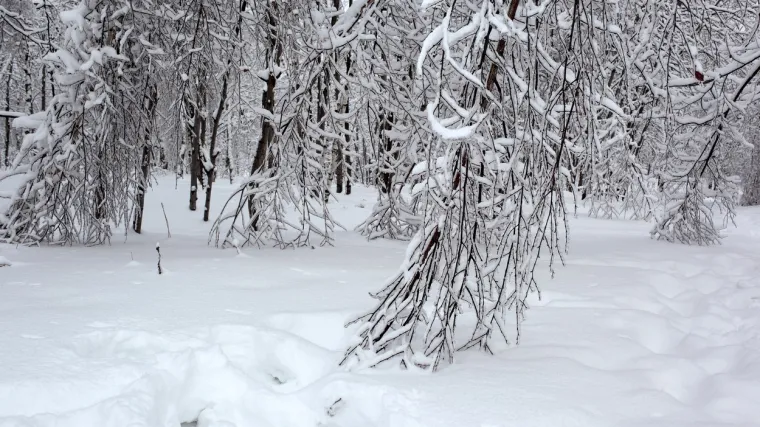 &deg;C! Prona&scaron;li ih s ozeblinama, a jedno od njih je kritično i na respiratoru