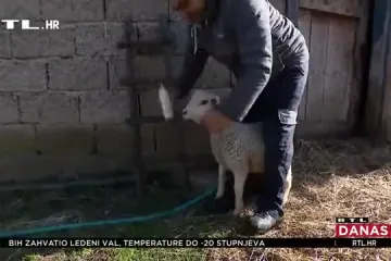 Više od 90 vrtača otvorilo se na Banovini: Nakon Mečenčana pojavila se jedna i u Strašniku, a istodobno i dalje stižu donacije