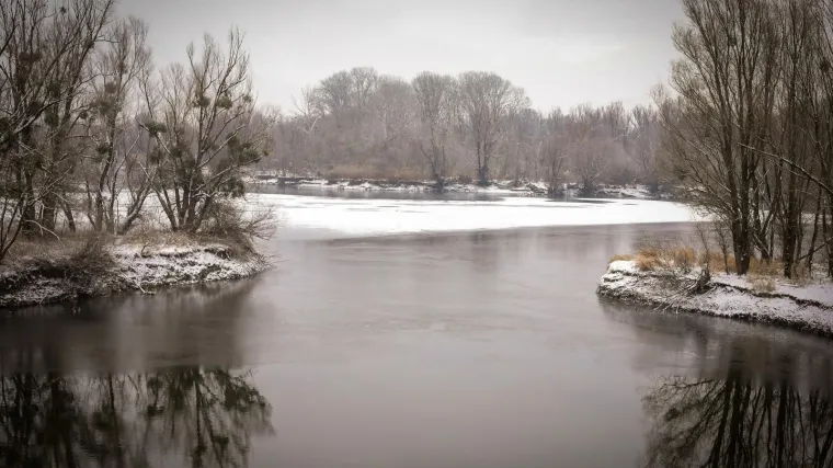 Policija u Kopačkom ritu spasila sirijske migrante, među njima i dvoje djece