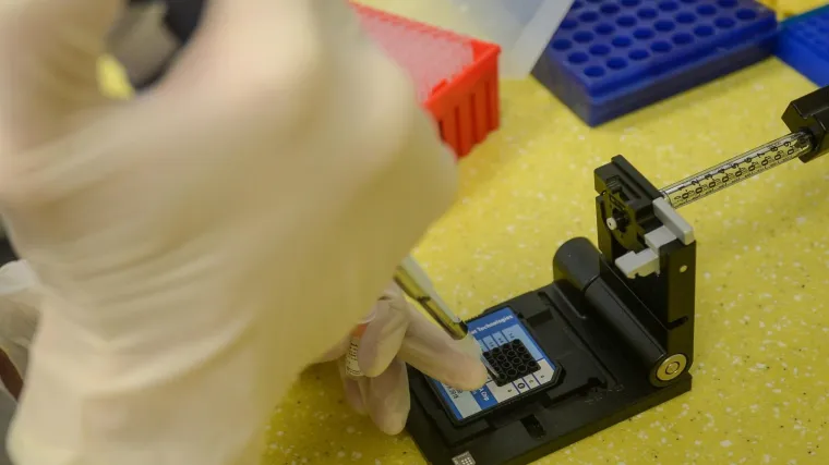 Brazilska ili hrvatska mutacija: Koji soj su kod pacijenta iz Zagreba otkrili genetičari Ruđera Bo&scaron;kovića?