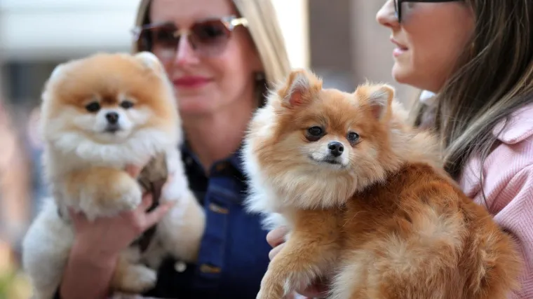 Uživali smo na suncu i visokim temperaturama, zna se što nas čeka u nedjelju i novom tjednu