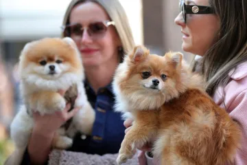 Uživali smo na suncu i visokim temperaturama, zna se što nas čeka u nedjelju i novom tjednu