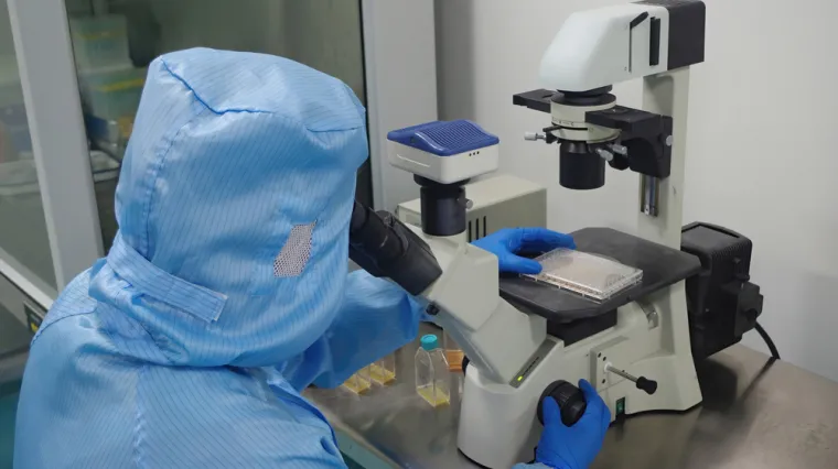 Davala bi se jednom godišnje, a rade i na stvaranju antitijela u slini