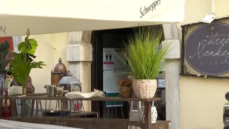 &Scaron;to pravni stručnjaci kažu o slučaju Tri majmuna? 'Jedno je bunt, a drugo zabrana. Nema temelja za ikakve sankcije'