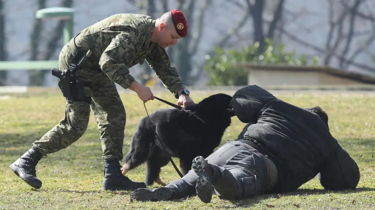 Pucnjava ispred Ureda predsjednika, uklanjanje eksploziva, napadi pasa: Postrojba koja čuva Milanovića 'proslavila' rođendan