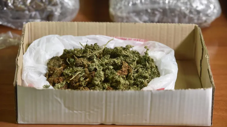 Policija prona&scaron;la marihuanu u autu i u stanu