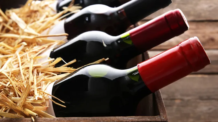 EU strategija smanjenja uporabe pesticida znatno će utjecati i na na&scaron;e vinogradarstvo