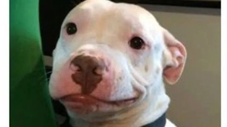 BLAMAŽA VAS PRATI POPUT SJENE? Ako noćima ne spavate zbog sramotnih situacija koje vas proganjaju, ovo je za vas