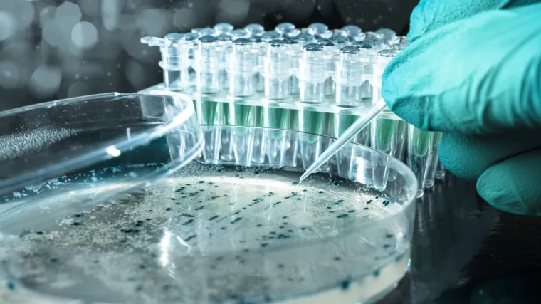 Razlog vi&scaron;e za fizičko distanciranje: Može li prdež prenijeti bolesti?