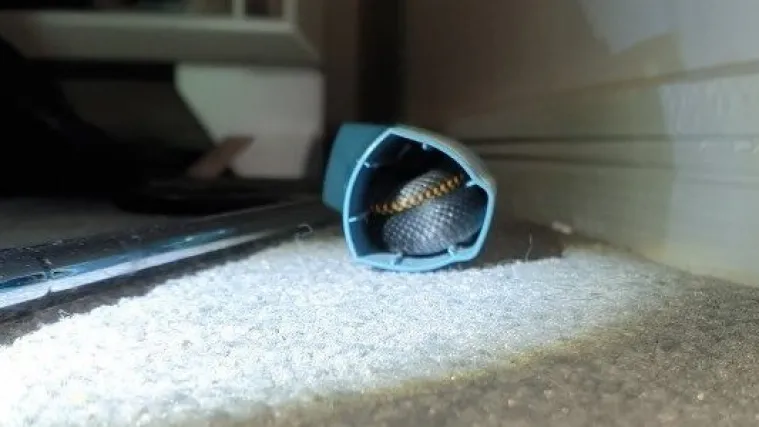 Damo se kladiti da će vam se želudac stisnuti u sekundi