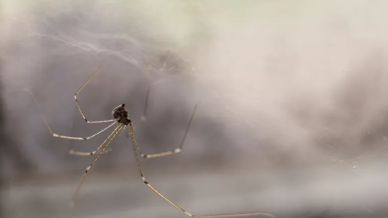 Oni vam mogu itekako koristiti
