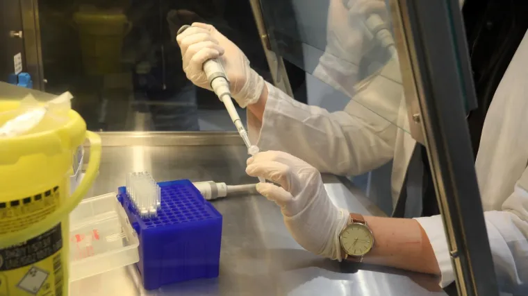 Misteriozna smrtonosna supergljivica prvi put otkrivena u prirodi: 'Kad uđe u bolnicu, to je noćna mora'