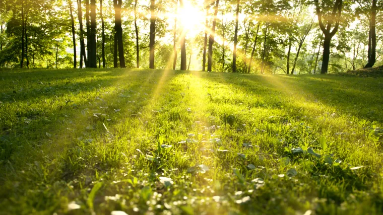 Stiže proljeće: Sutra manje vjetrovito, a od sredine tjedna proljetno toplo uz 15-ak stupnjeva