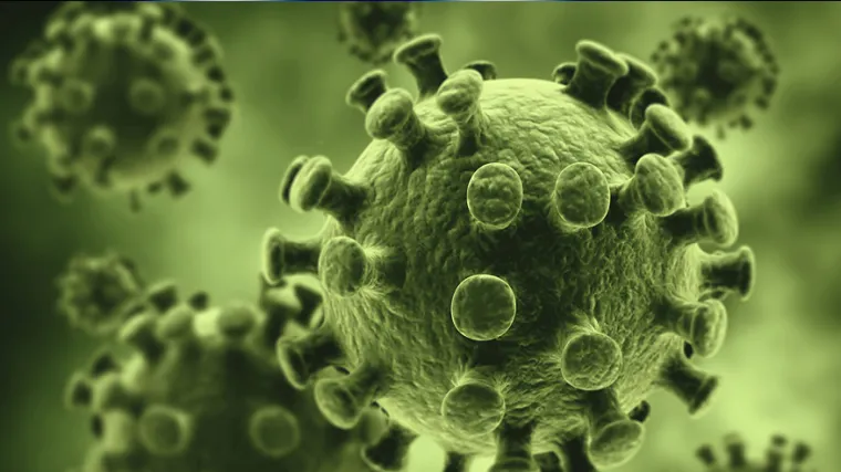 Zanimljivo istraživanje: Nisu svi virusi negativci, ovi bi mogli pomoći u borbi protiv bakterija otpornih na antibiotike!