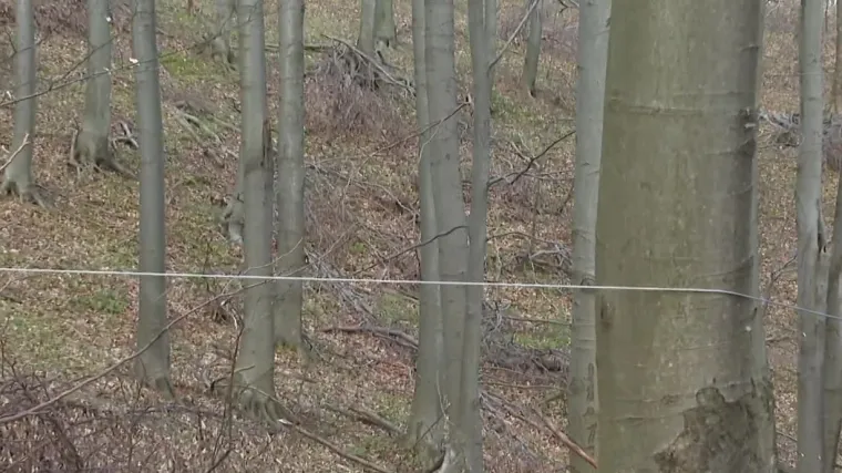 U &scaron;umama diljem zemlje i dalje se postavljaju smrtnonosne klopke: 'Ja sam izbjegao, ali bilo je za dlaku'