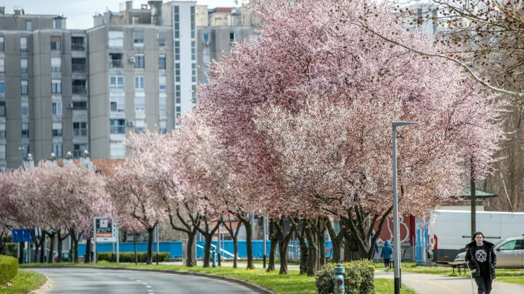 Vremenska prognoza: Jo&scaron; danas će biti naoblake, a od sutra sve sunčanije. Evo kakve će biti temperature
