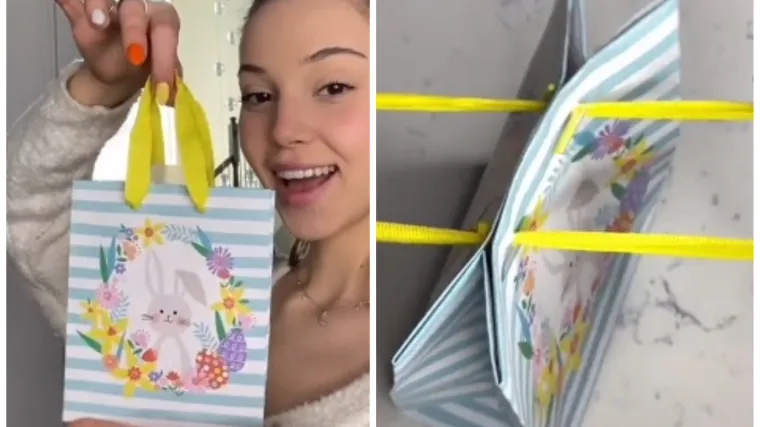 TikTokerica pokazal metodu kojom ih možemo zatvoriti