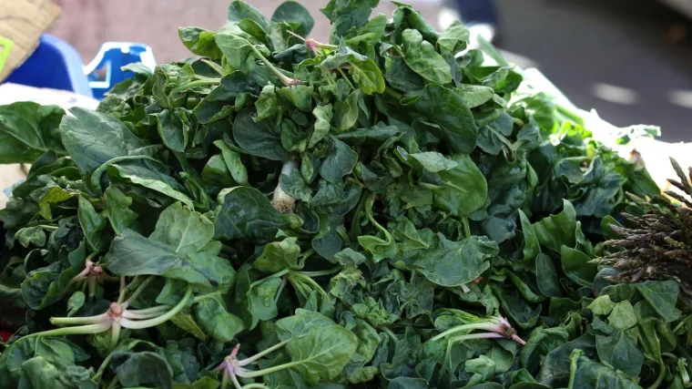 Ako ste kupili ovaj &scaron;pinat, pogledajte deklaraciju