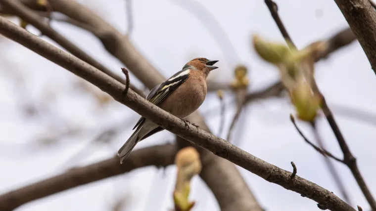 Do vikenda toplo i sunčano: Otkrivamo kakvo vrijeme nas čeka za Uskrs i Uskrsni ponedjeljak!
