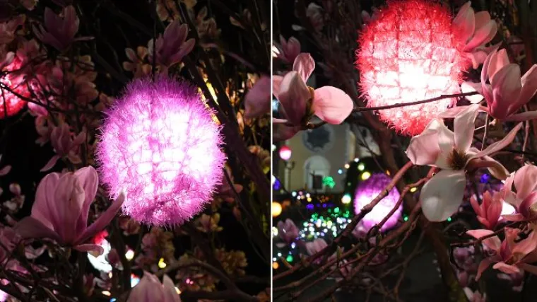 FOTO Nakon Božićne, i Uskrsna priča obitelji Salaj ostaje u mraku zbog Covid-pravila