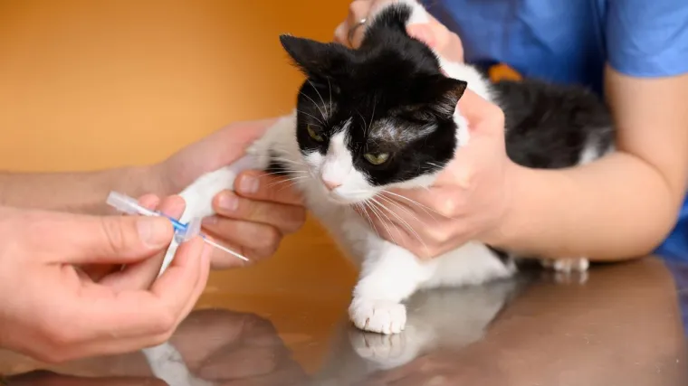 'Bezopasno je i daje visoku za&scaron;titu'