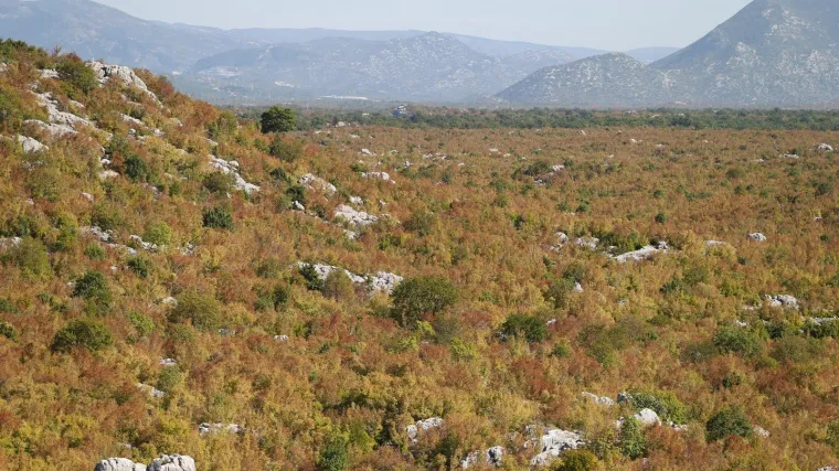Neka davno pro&scaron;la vremena: Oračev Uskrs
