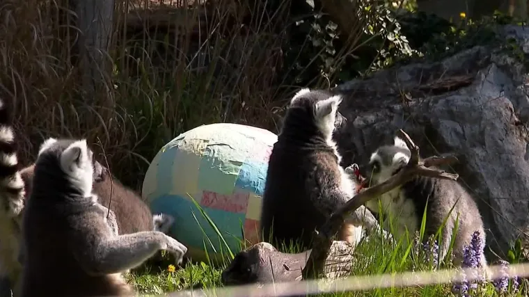 Tradicionalno darivanje pisanica u zagrebačkom Zoolo&scaron;kom vrtu nije izostalo ni ove godine