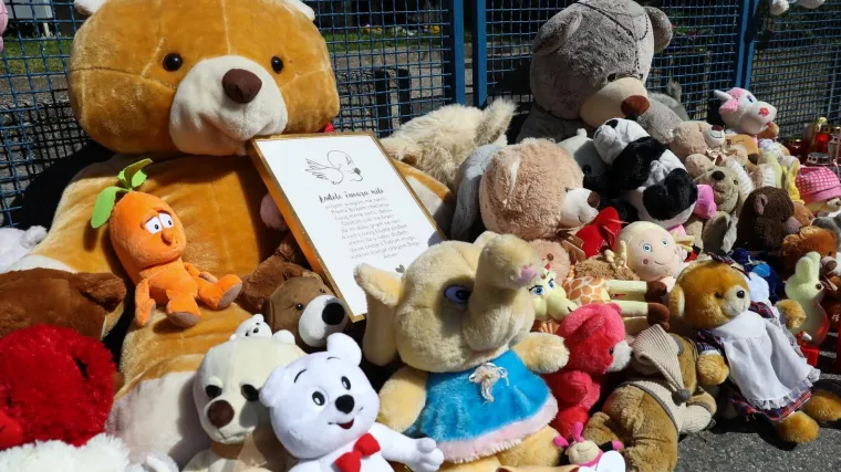 Tko je zakazao u sustavu? Če&scaron;lja se dokumentacija, obavljaju razgovori. Glavna socijalna radnica nije ispitana jer ima - koronu