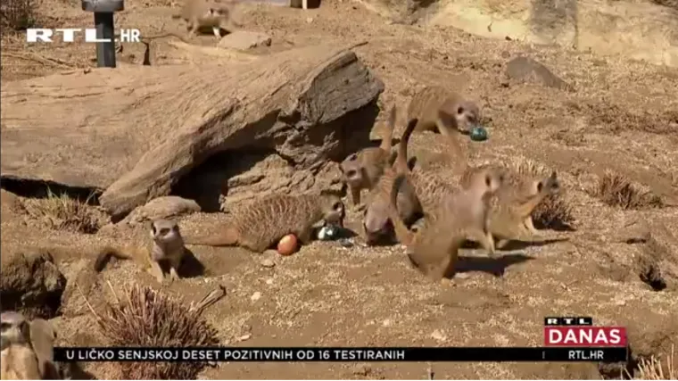 Tradicionalno darivanje pisanica u zagrebačkom Zoolo&scaron;kom vrtu nije izostalo ni ove godine