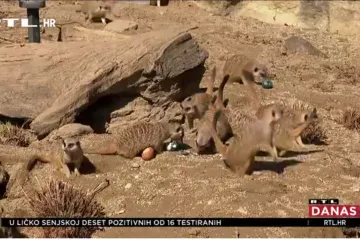 Tradicionalno darivanje pisanica u zagrebačkom Zoolo&scaron;kom vrtu nije izostalo ni ove godine