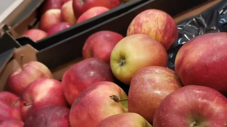 Samo pojedini su spasili svoje plantaže voća od mraza: 'Ne tražimo pomoć ili jo&scaron; gore - milostinju'