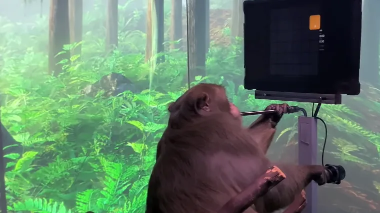 Musk mu je ugradio mikročip u mozak, ima velike planove i za ljude