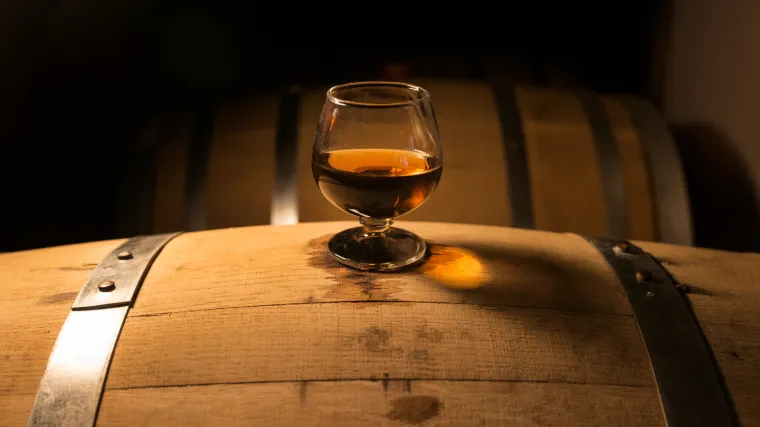 Žestice iz Istre osvojile Japan! Proizvođači za RTL otkrili tajnu uspjeha: 'Radili smo analize i nakon toga...'