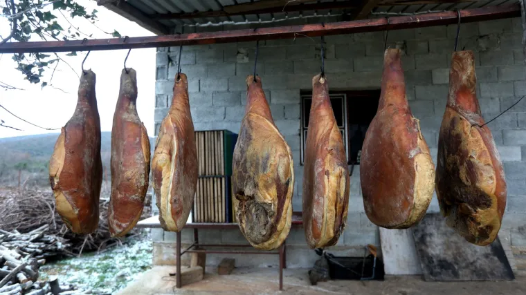 Ne dajte im da vam podvale lažnjake, evo na &scaron;to obratiti pažnju