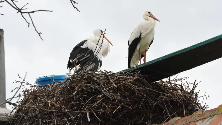 Malena i Klepetan ponovno su zajedno! 'Klepo uvijek dolazi zadnji, a kad kasni, onda ba&scaron; kasni'