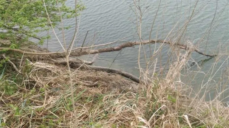 Dramatična borba za život u Dravi: Ribič se zadnjim atomima snage grčevito držao za granu. Tražili ga dva dana