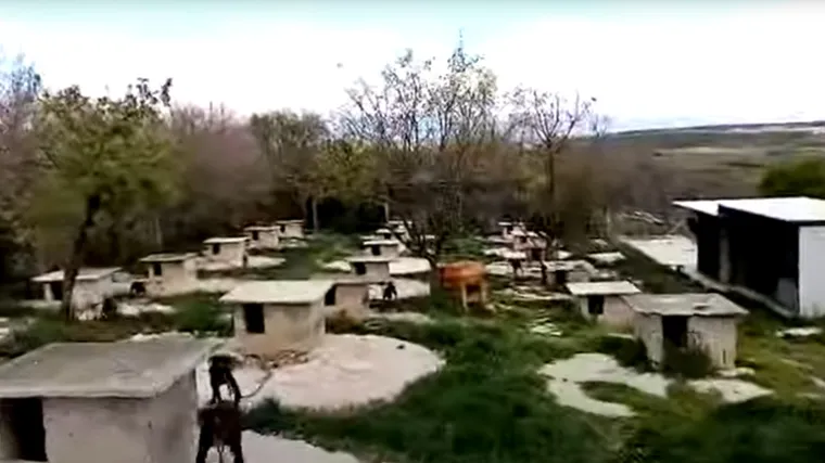 Zadarski policajac zaustavio dilera koji mu je vi&scaron;e puta nudio mito. Pretresom zemlji&scaron;ta na&scaron;li su i pse za nelegalne borbe?