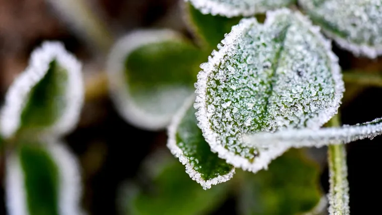 Uživajte u zrakama sunca jer ih se za vikend i nećete ba&scaron; nagledati. Ipak, nije sve tako sivo