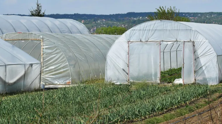 Zbog nepredvidivog vremena sve vi&scaron;e poljoprivrednika odlučuje se za plastenike: Jesu li isplativi i ima li ih dovoljno?