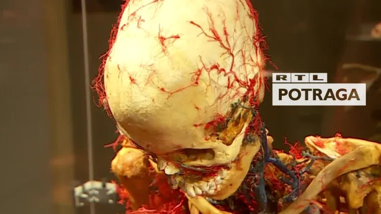 Muzeji lani zabilježili pad od čak četiri milijuna posjetitelja. Potraga istražuje što čine kako bi opstali